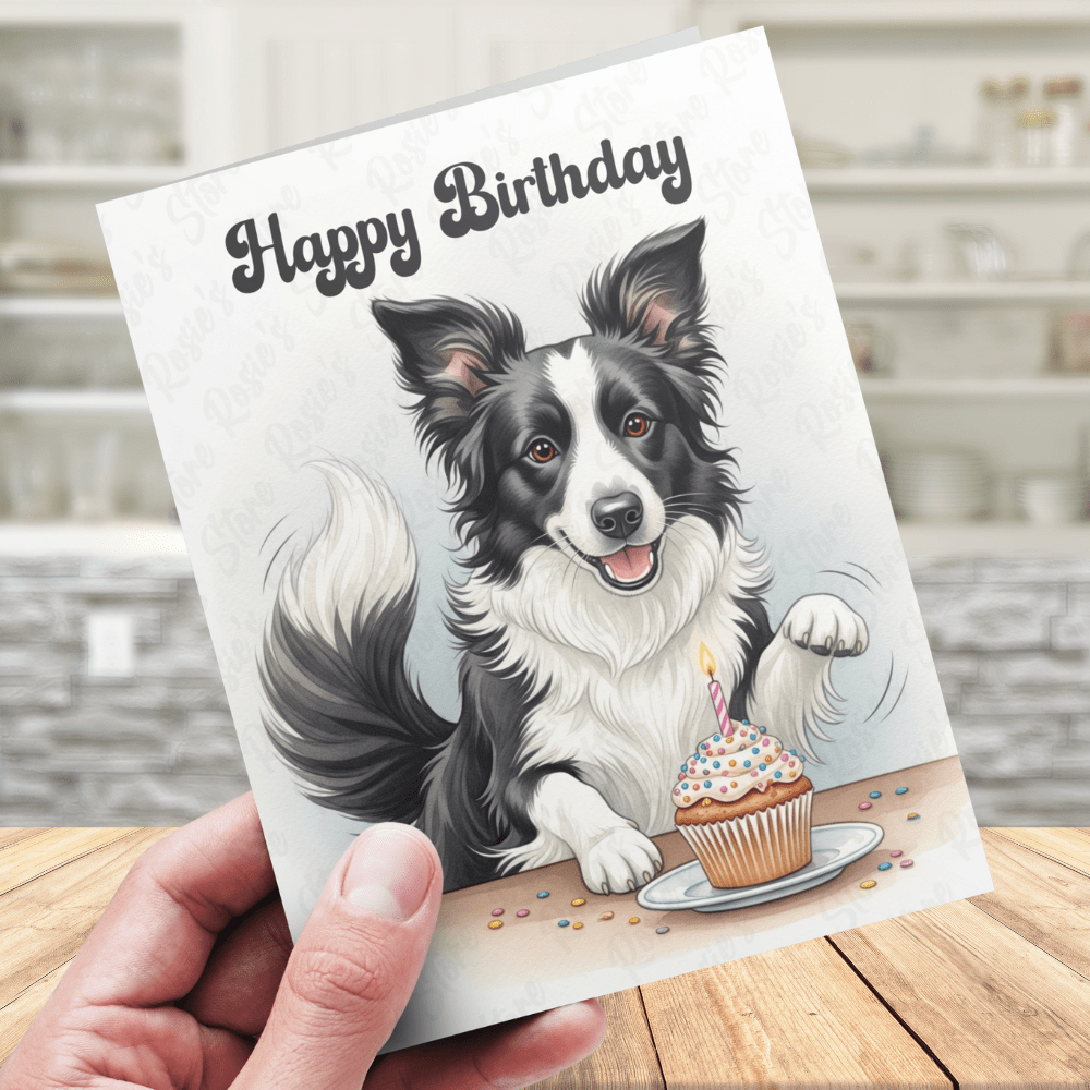 Birthday Greeting Card, Border Collie (black & white) Dog Pet Lover: Happy Birthday