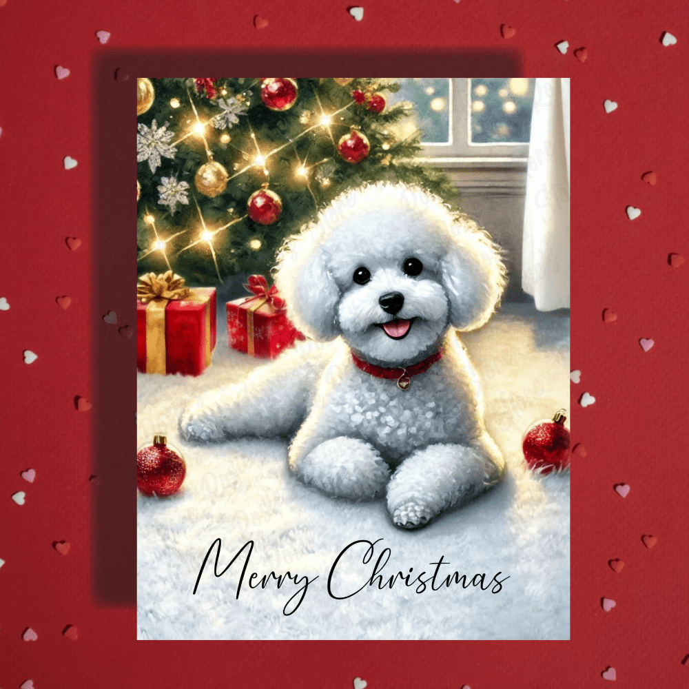 Christmas Greeting Card, Bichon Frise: Merry Christmas
