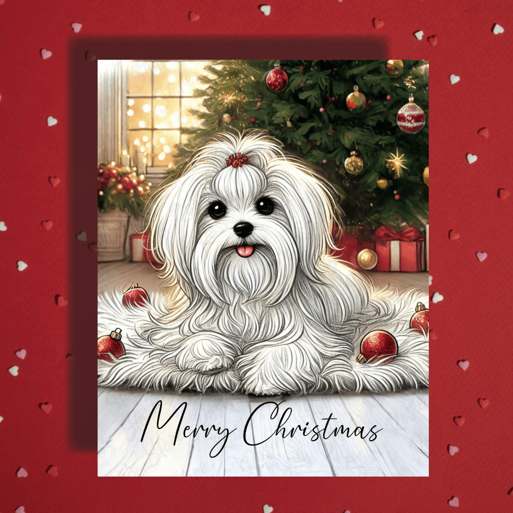 Christmas Greeting Card, Maltese Dog Lover: Merry Christmas