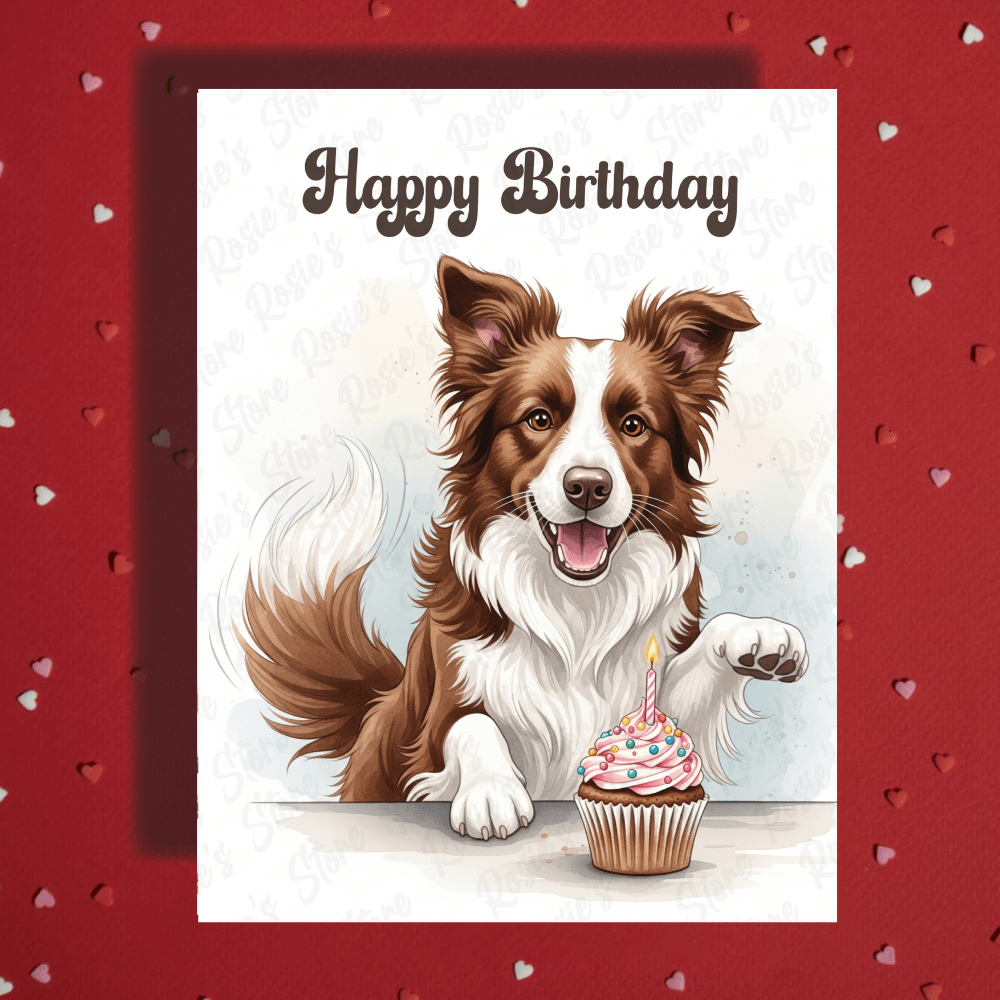 Birthday Greeting Card, Border Collie (brown & white) Dog Pet Lover: Happy Birthday