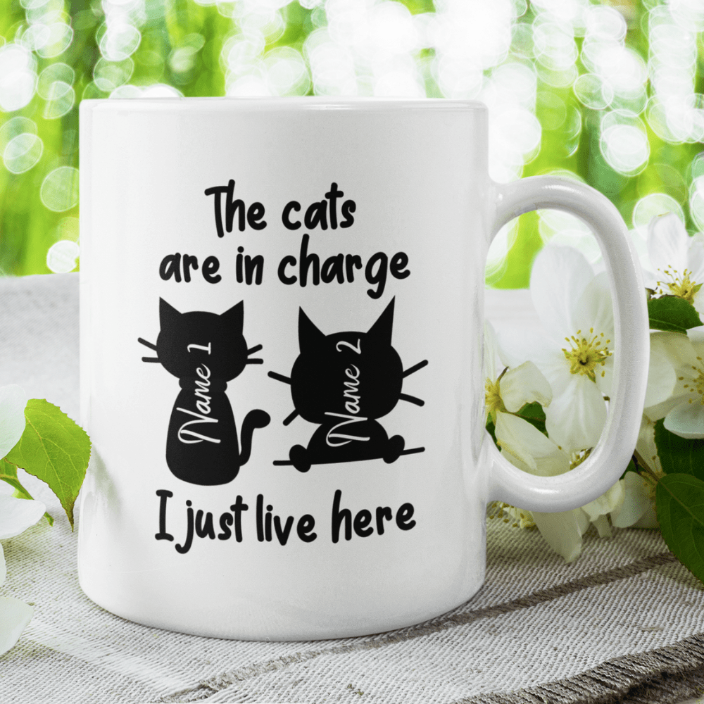 Cat, Custom Coffee Mug: I Just Live Here
