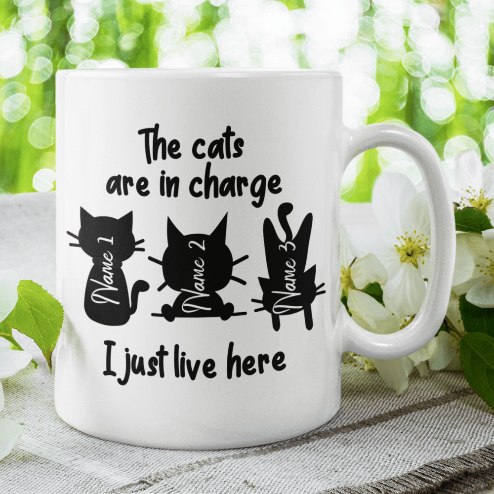 Cat, Custom Coffee Mug: I Just Live Here