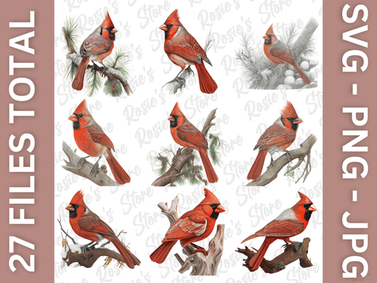 Digital Bundle: Cardinals 2