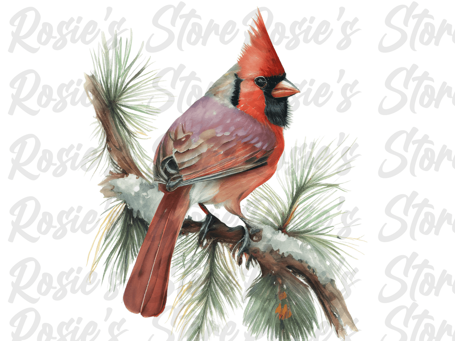 Digital Bundle: Cardinals 2