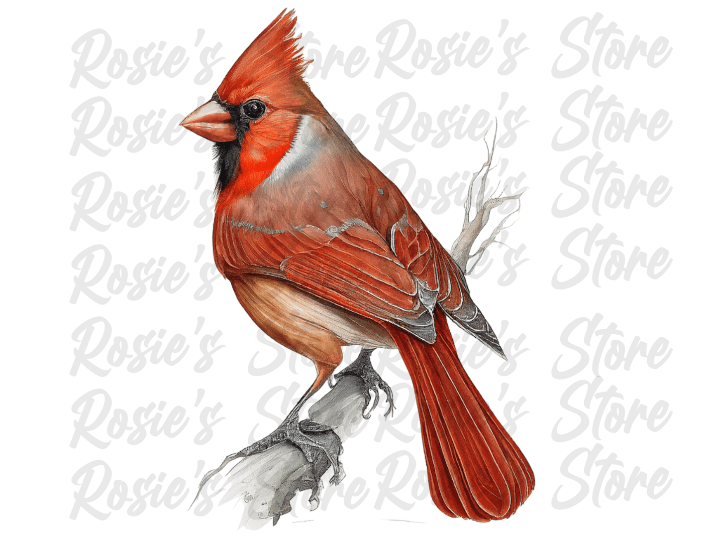 Digital Bundle: Cardinals 2