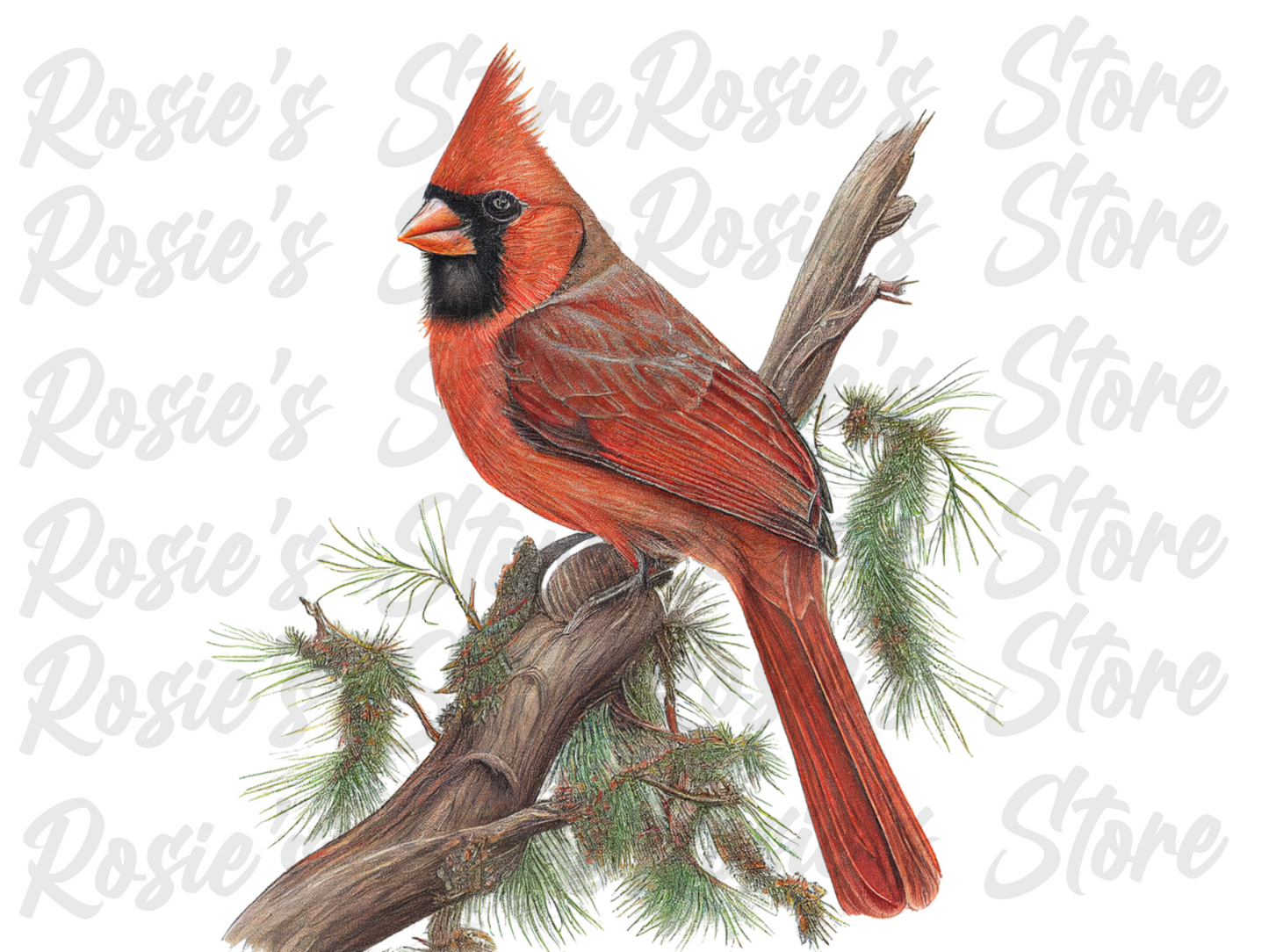 Digital Bundle: Cardinals 2