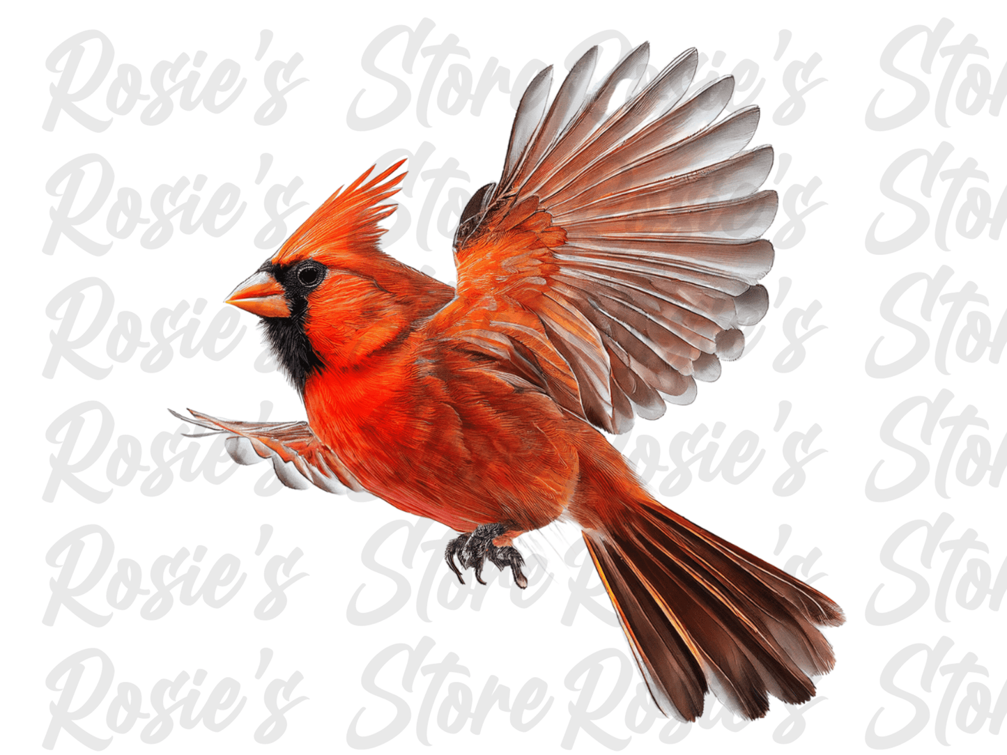 Digital Bundle: Cardinals