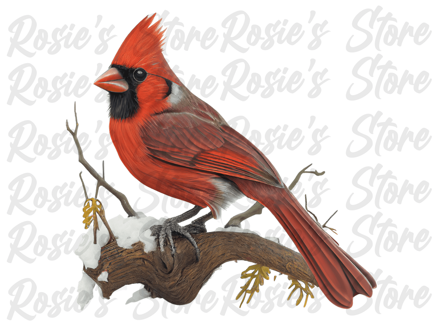Digital Bundle: Cardinals 2
