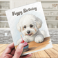 Birthday Greeting Card, Bichon Frise Dog Pet Lover: Happy Birthday
