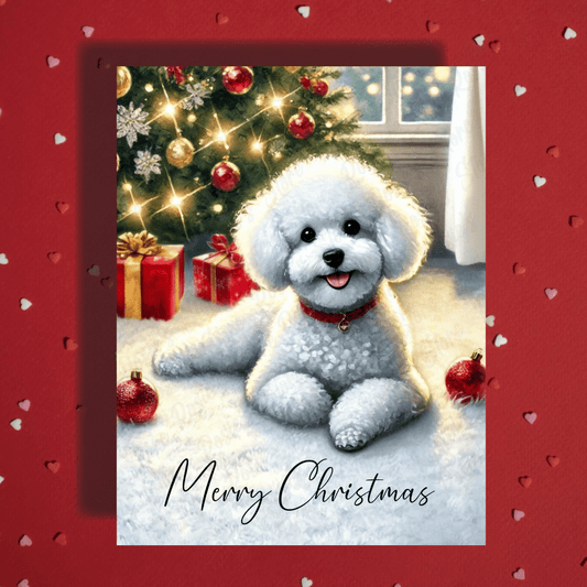 Christmas Greeting Card, Bichon Frise: Merry Christmas