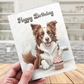 Birthday Greeting Card, Border Collie (brown & white) Dog Pet Lover: Happy Birthday