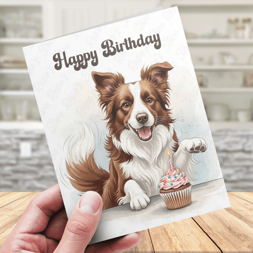 Birthday Greeting Card, Border Collie (brown & white) Dog Pet Lover: Happy Birthday