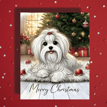 Christmas Greeting Card, Maltese Dog Lover: Merry Christmas