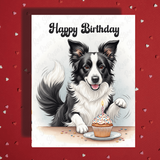 Birthday Greeting Card, Border Collie (black & white) Dog Pet Lover: Happy Birthday