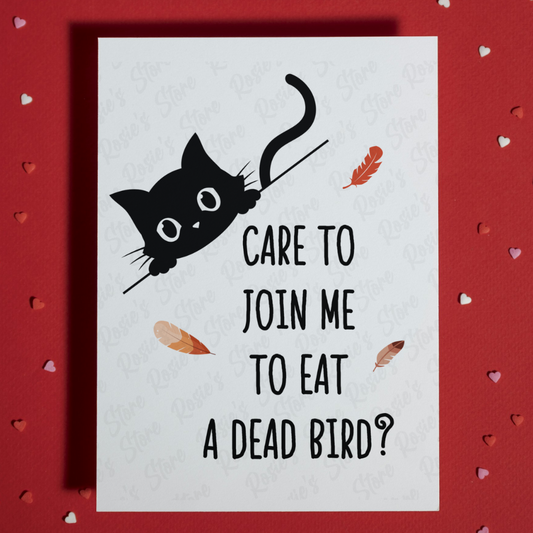 Thanksgiving, Funny Greeting Card: Care To Join Me - Cat