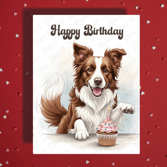 Birthday Greeting Card, Border Collie (brown & white) Dog Pet Lover: Happy Birthday
