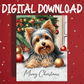 Christmas Digital Greeting Card, Yorkie: Merry Christmas
