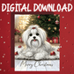 Christmas Printable Card, Digital Download, Maltese Dog Lover: Merry Christmas