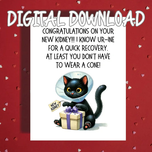 Kidney Transplant Printable Card, Congratulations New Kidney Cat Digital Download