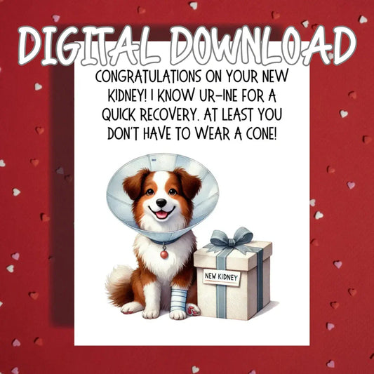 Kidney Transplant Printable Card, Congratulations New Kidney Digital Download
