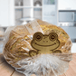 Funny Frog Wooden Bread Clip: Hop Off My Loaf
