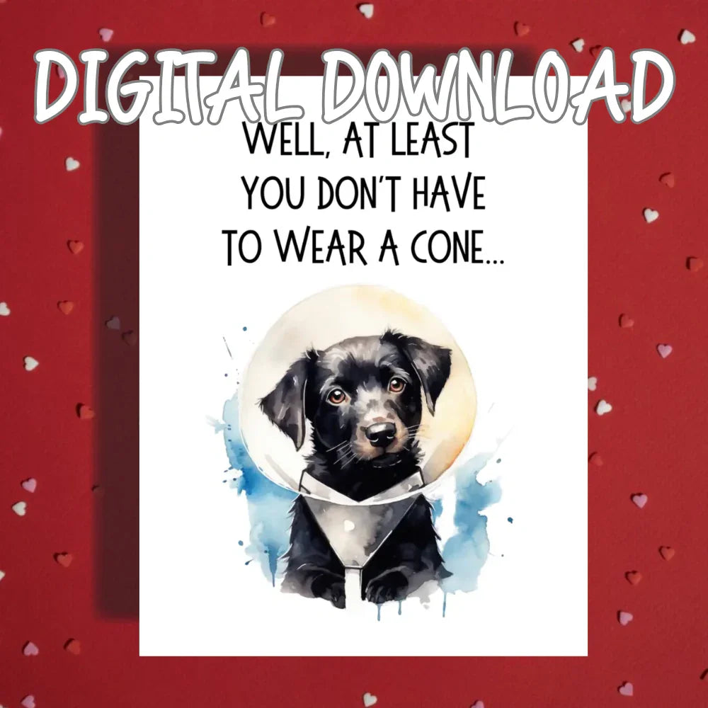 Get Well Funny Dog Printable Card, At Least You Dont Have to Wear a Cone, Digital Download Recovery Humor