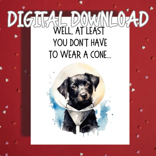 Get Well Funny Dog Printable Card, At Least You Dont Have to Wear a Cone, Digital Download Recovery Humor