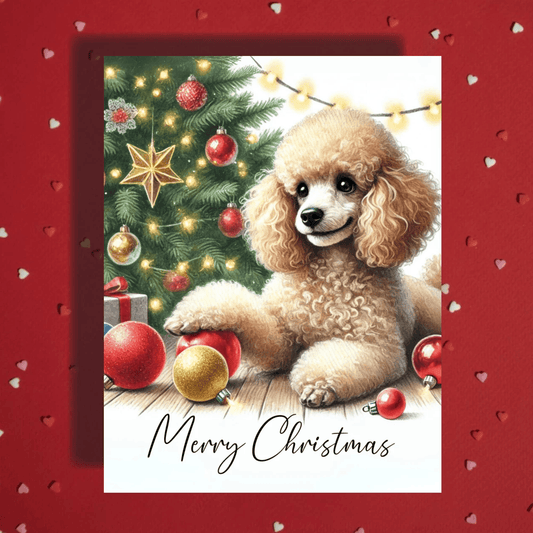 Christmas Greeting Card, Toy Poodle Dog: Merry Christmas