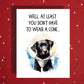 Get Well Funny Dog Card, At Least You Dont Have to Wear a Cone, Personalized Recovery Greeting Card