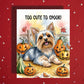 Halloween Yorkie Card Too Cute to Spook Yorkshire Terrier Pumpkin Fall Greeting