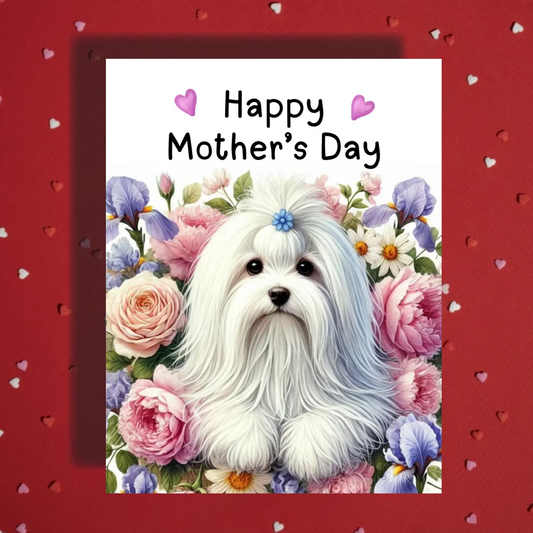 Mother's Day Card Havanese Dog White