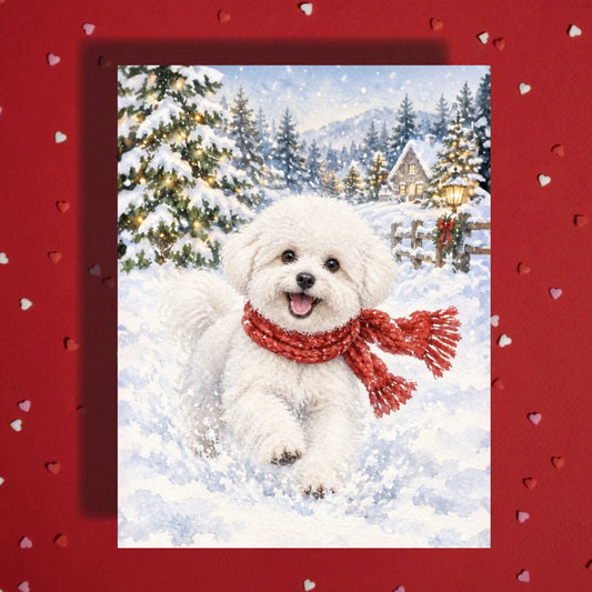 Christmas Card, Bichon Frise Dog