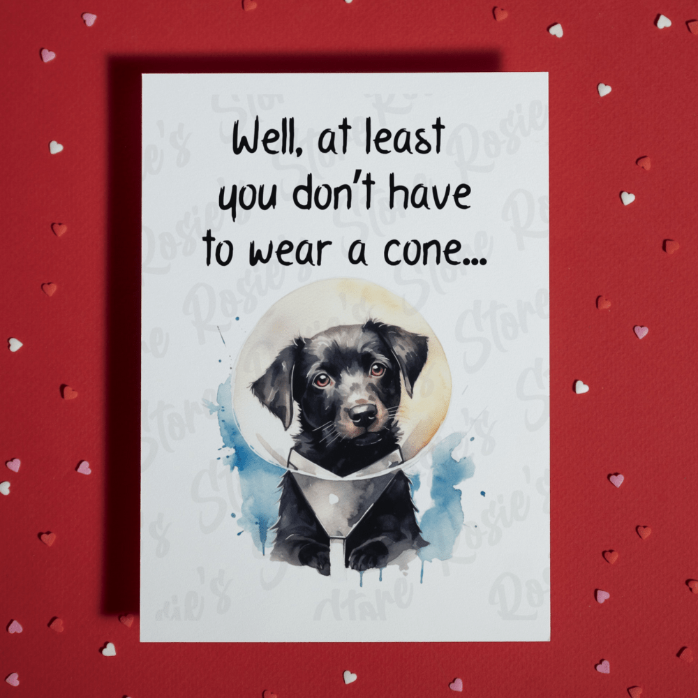 Get Well, Greeting Card: Well, At Least You Don't Have To Wear A Cone 2