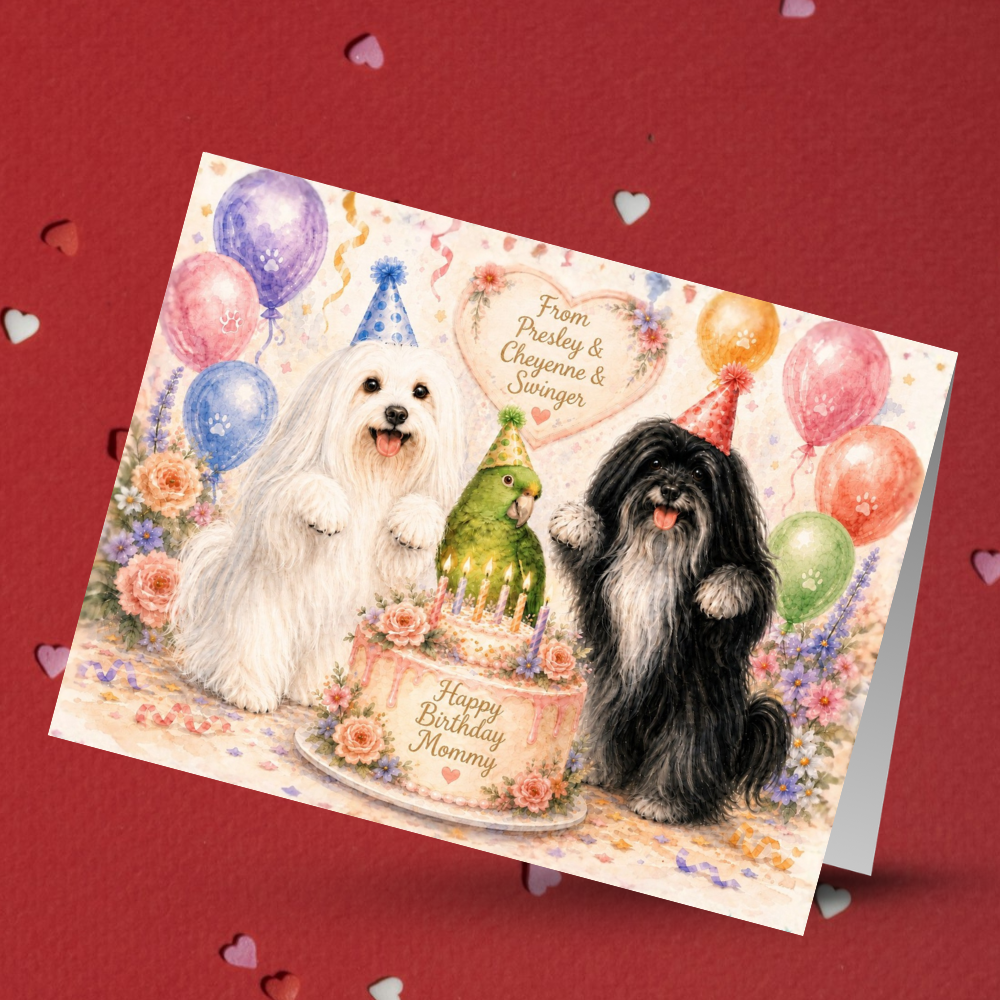 Custom 5 Greeting Cards Bundle