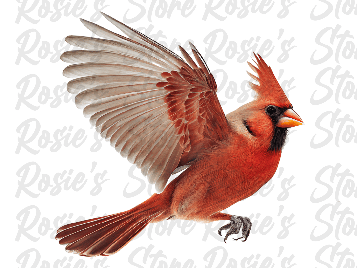 Digital Bundle: Cardinals
