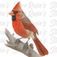 Digital Bundle: Cardinals 2