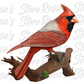 Digital Bundle: Cardinals 2